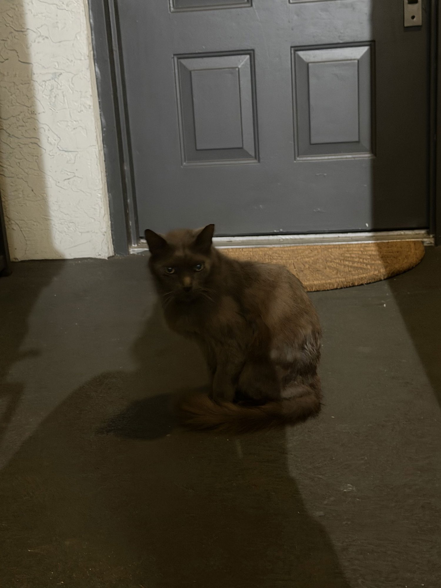 COURTESY POST: Spring - Photo 3