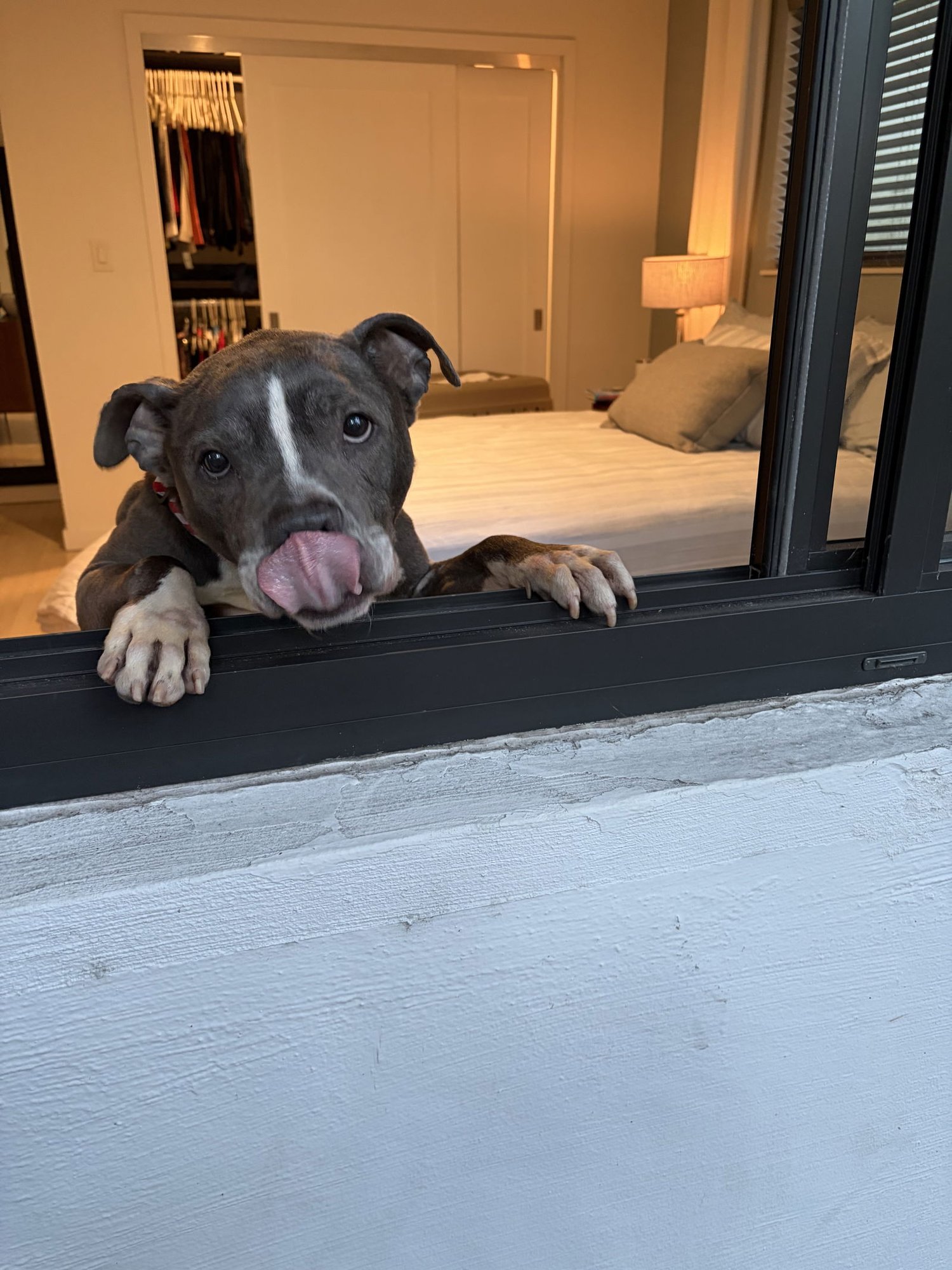 COURTESY POST: Wally - Photo 3