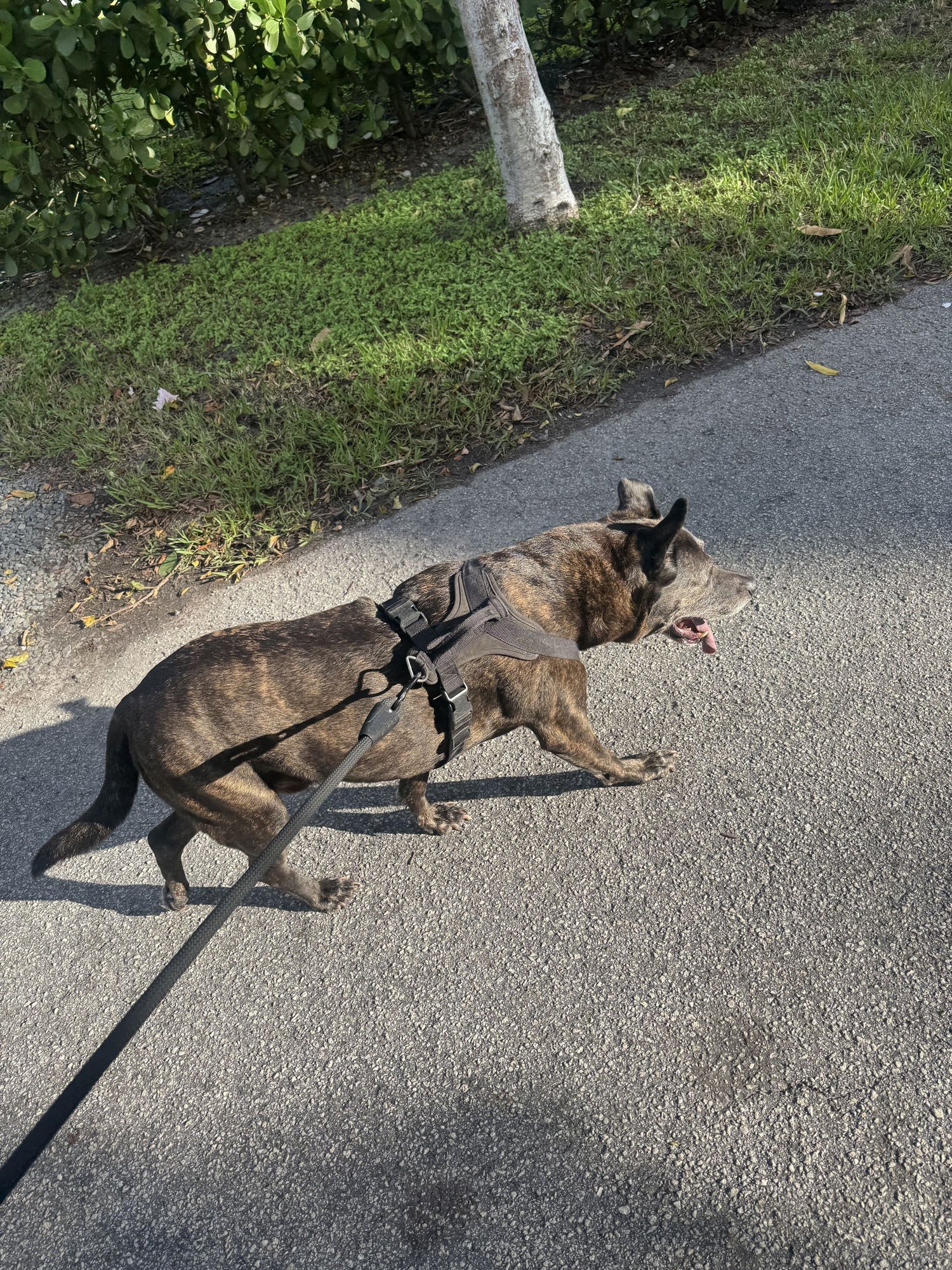 COURTESY POST: Murphy - Photo 3