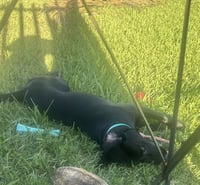 COURTESY POST: Chase - Photo 3