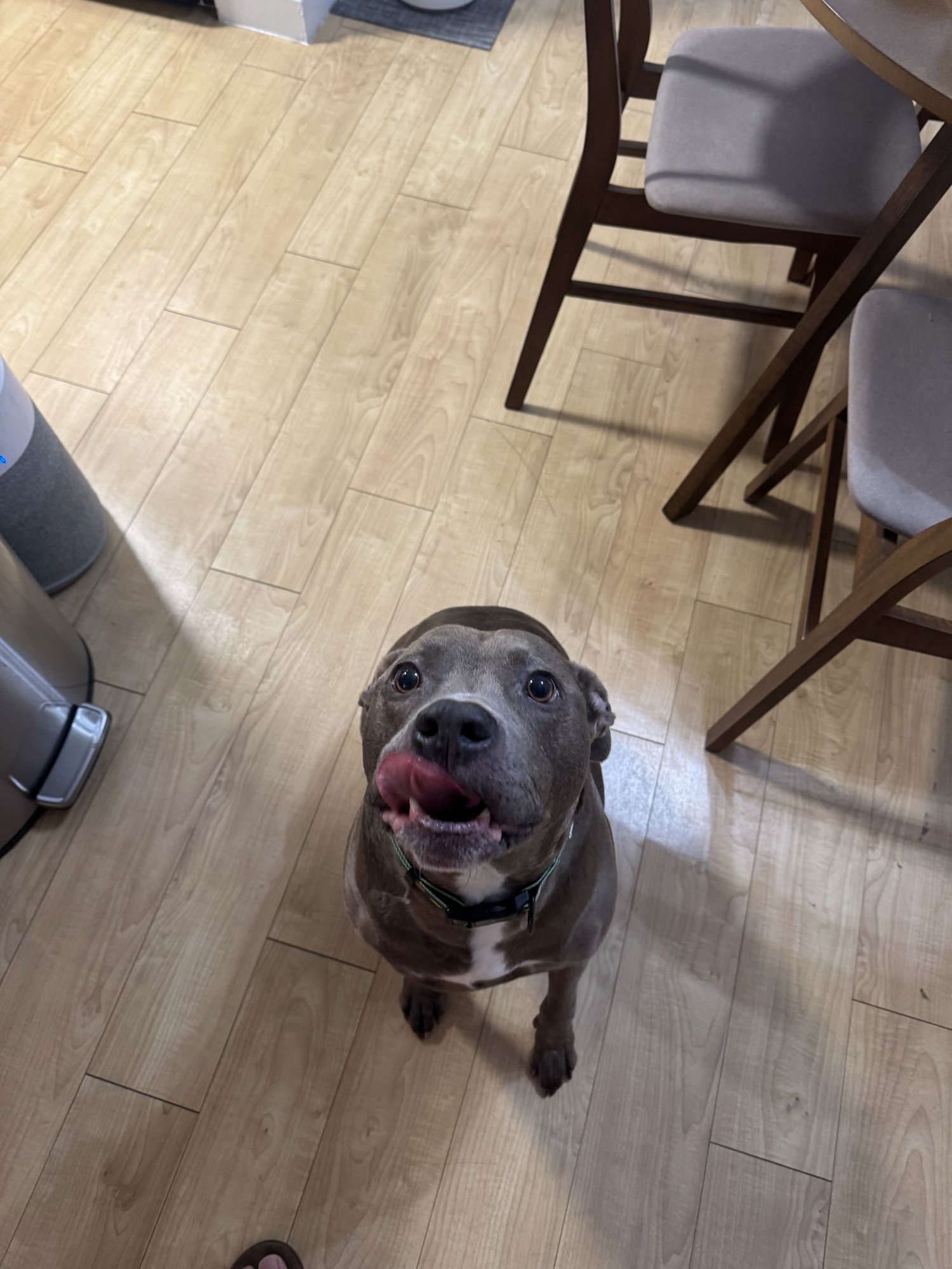COURTESY POST: Kobe - Photo 3