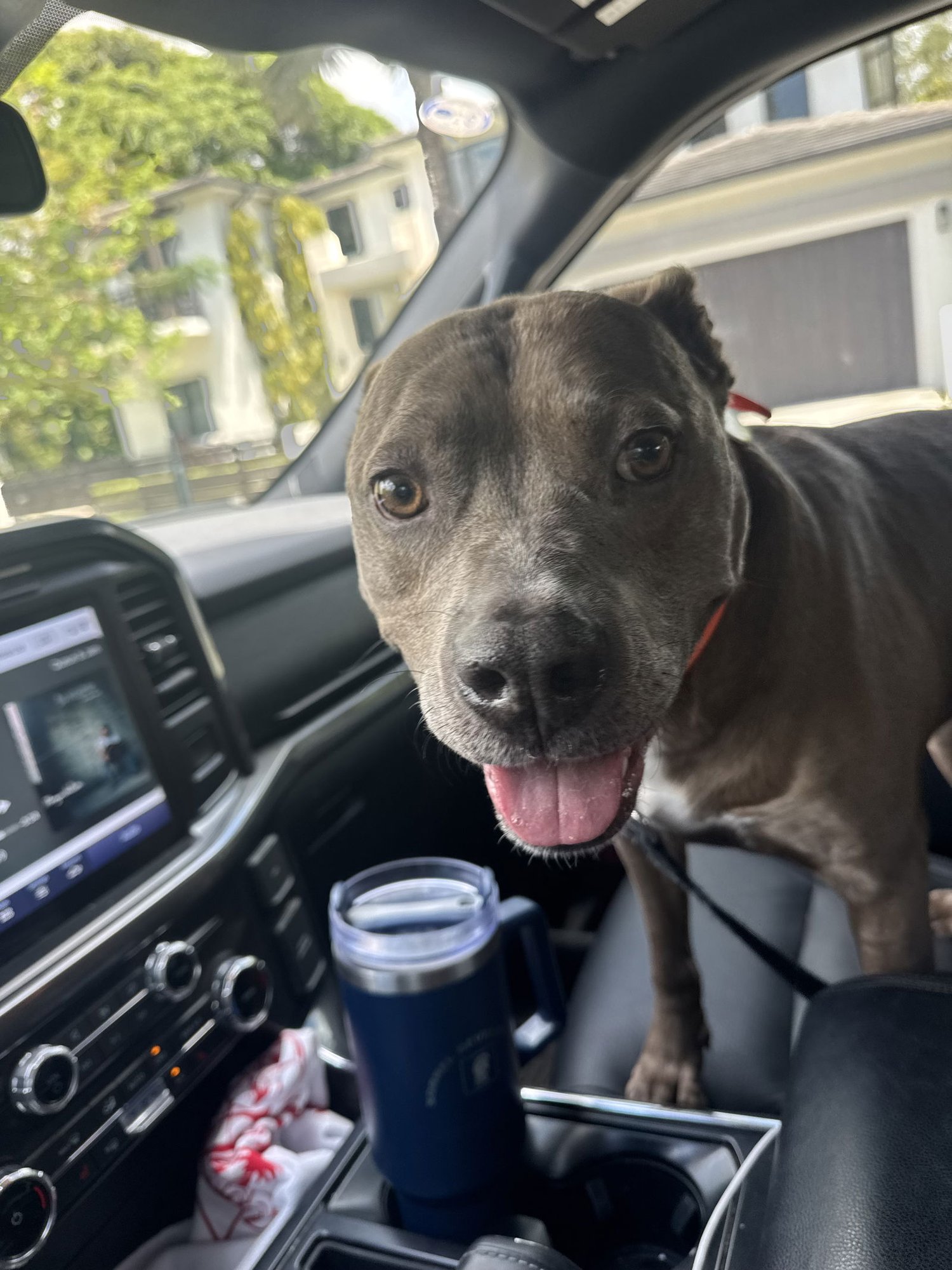COURTESY POST: Kobe - Photo 4