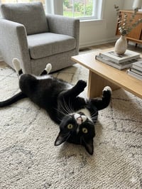 COURTESY POST: Charlie - Photo 3
