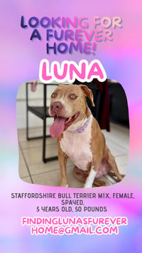COURTESY POST: Luna - Photo 2