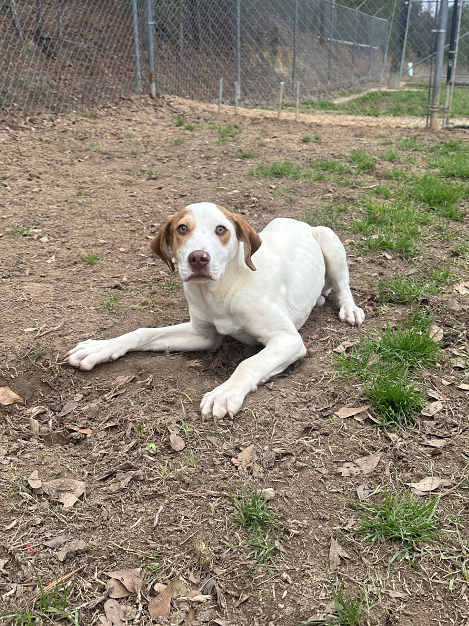 CISCO - Unknown available for adoption