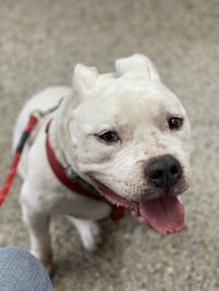 Gunther - Photo 2