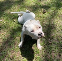 Gunther - Photo 4