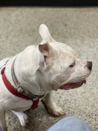 Gunther - Photo 3