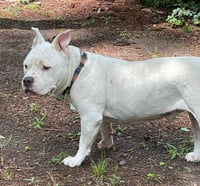 Gunther - Photo 5