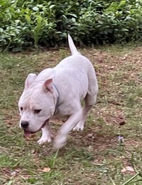 Gunther - Photo 6