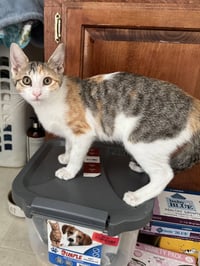 Eunice - Photo 1