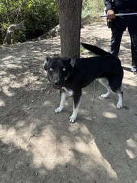 BENDER - Photo 1