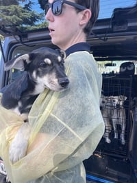 JUDY HOPPS - Photo 1