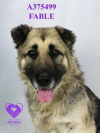 FABLE - Photo 1