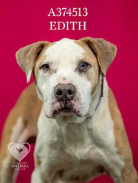 EDITH - Photo 1
