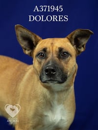 DOLORES - Photo 1