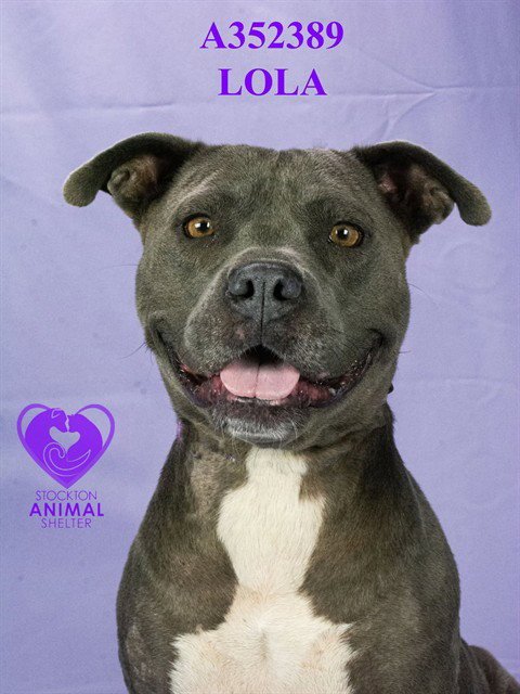 LOLA Image