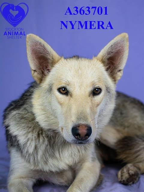 NYMERIA Image