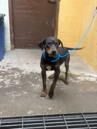 TANK - Photo 1