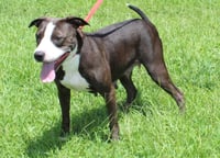 Ada 43530 - Photo 2