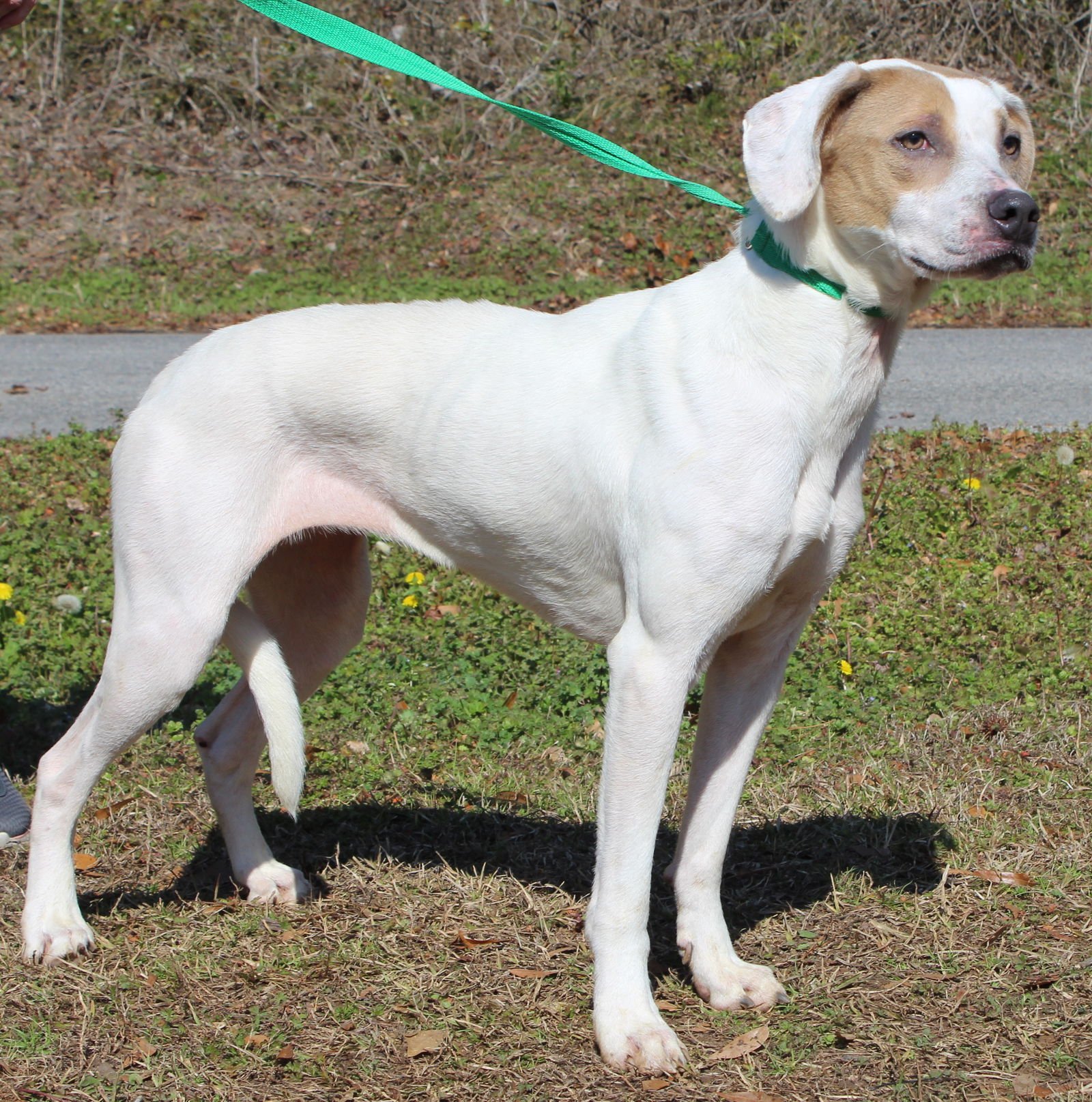 Millie 43026 - Photo 4