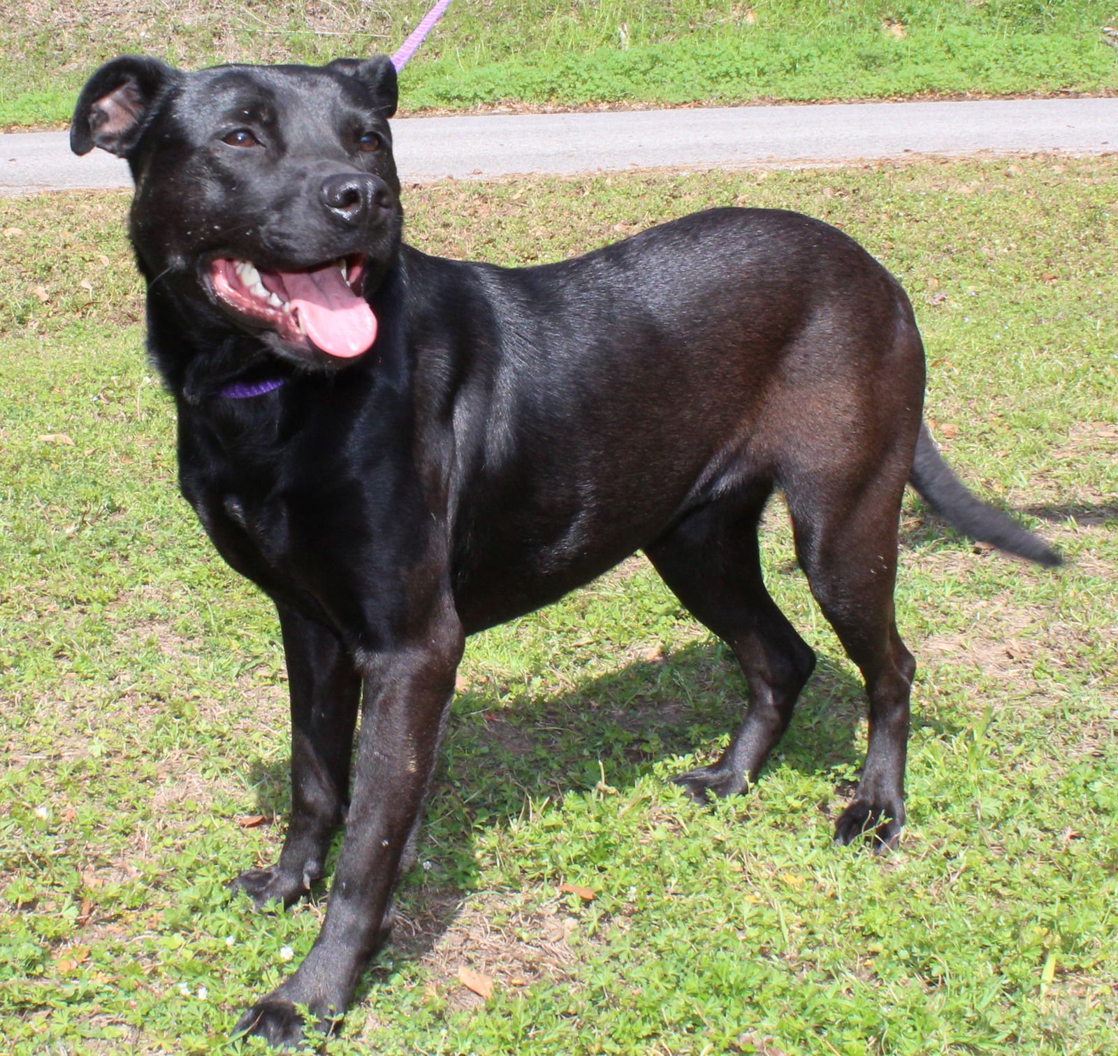 Sadie 36362 - Photo 4