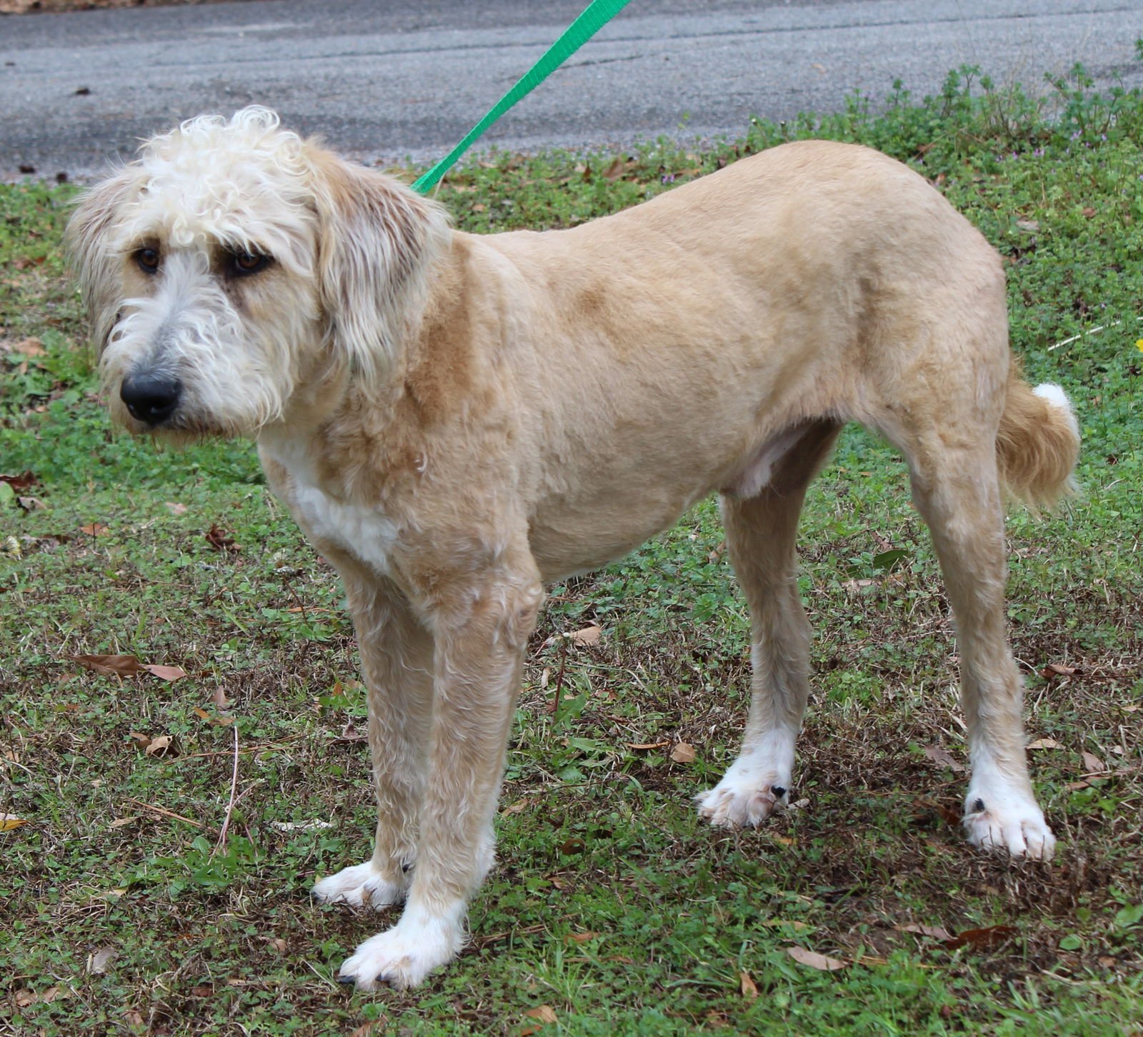 Trelawny 43009 - Photo 3