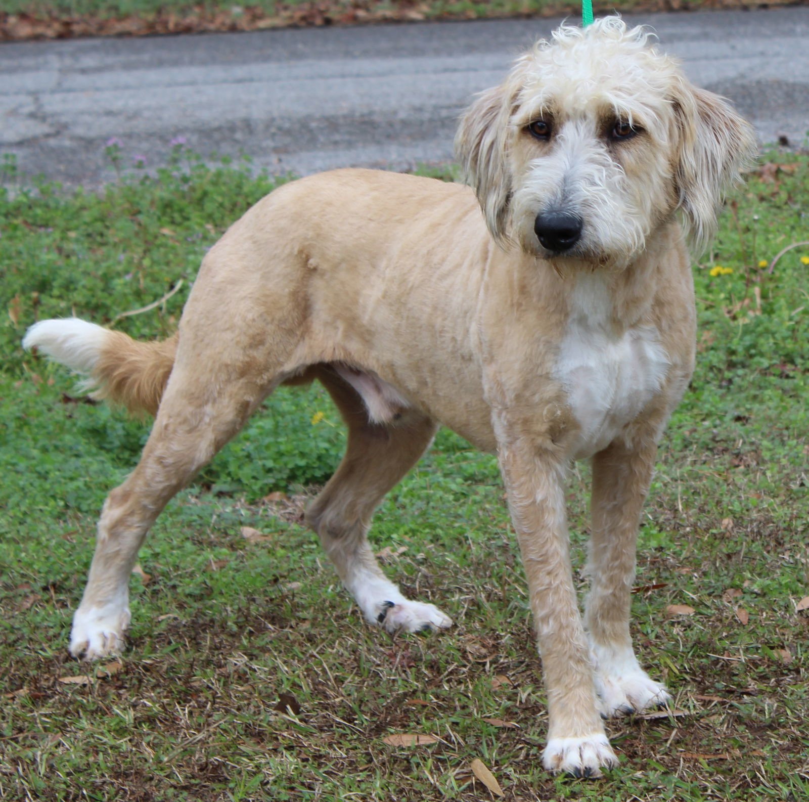 Trelawny 43009 - Photo 4