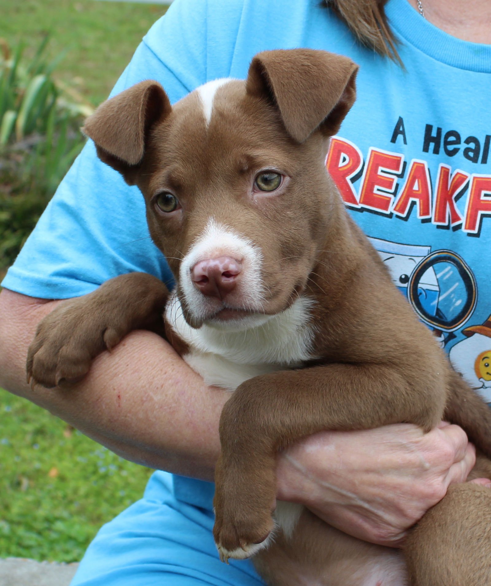 Ruger 43160 - Photo 3