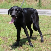 Bonita 43457 - Photo 2