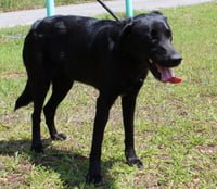 Bonita 43457 - Photo 3