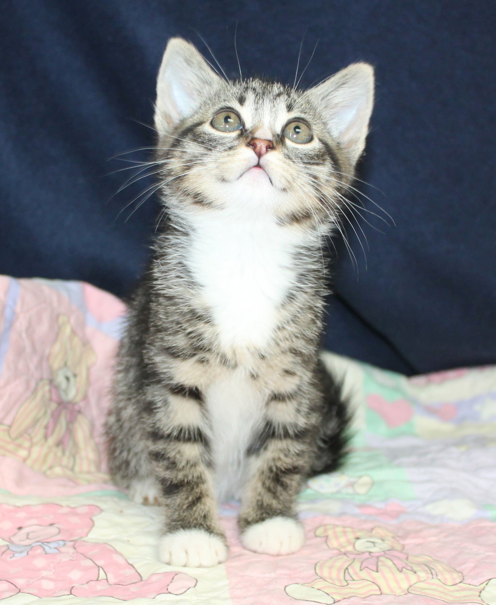 Kate - 43174 - Photo 3