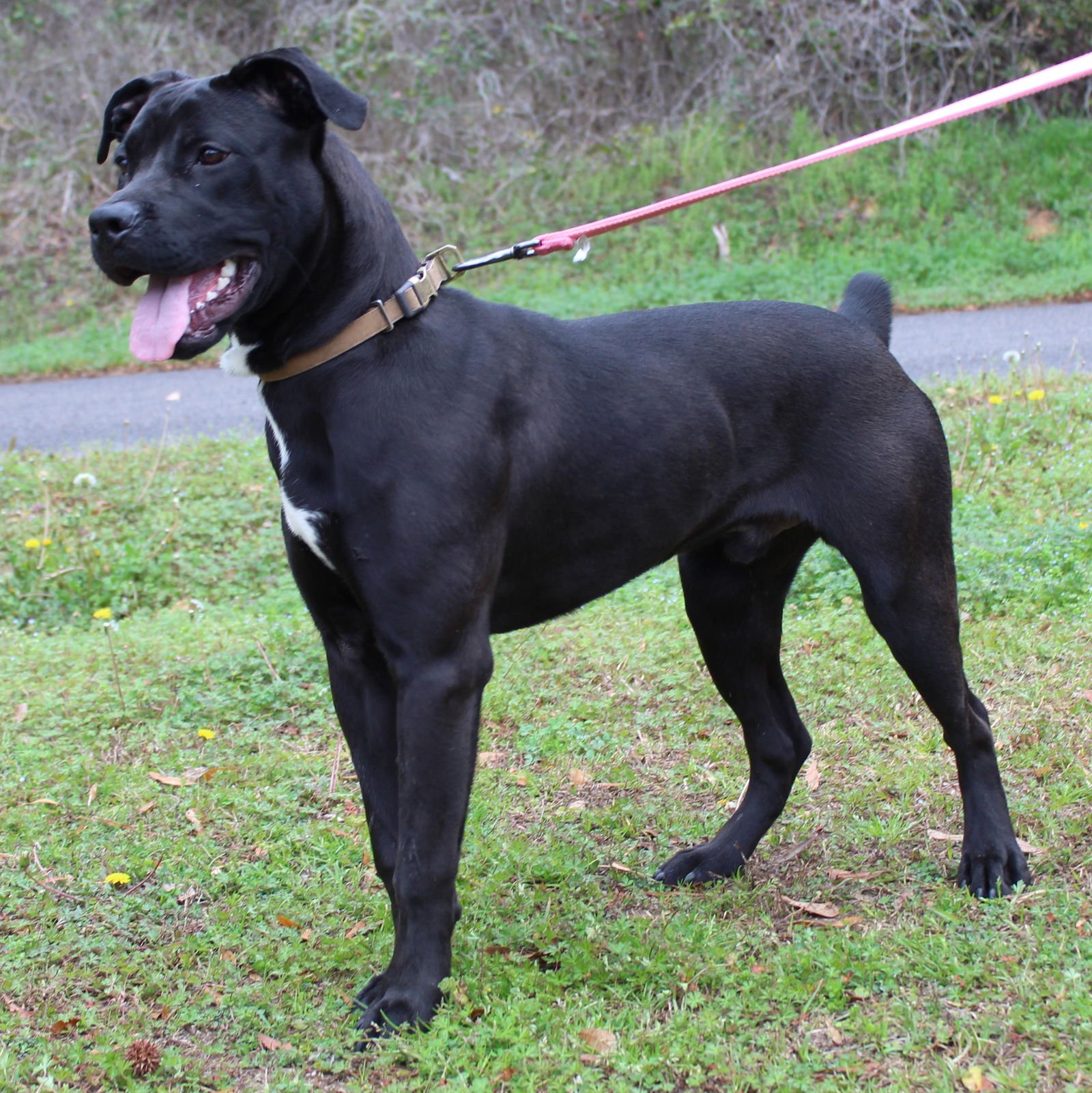 Jake 43200 - Photo 3