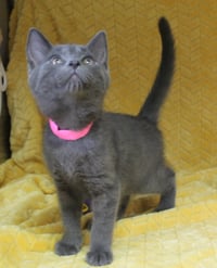 Jordan - 43699 - Photo 2