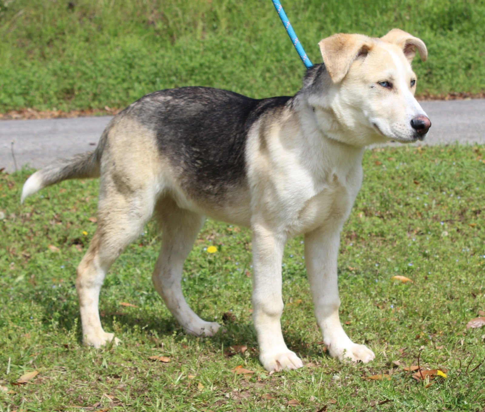 Junior 43301 - Photo 4