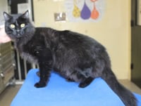 Eugene - 43357 - Photo 2