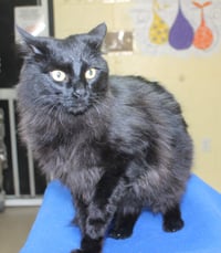 Eugene - 43357 - Photo 3