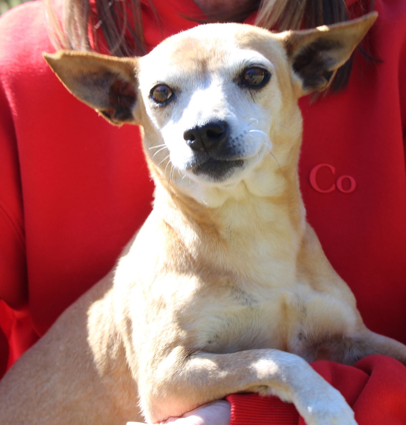 Momma 43101 - Photo 4