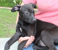 Sophia 43507 - Photo 1