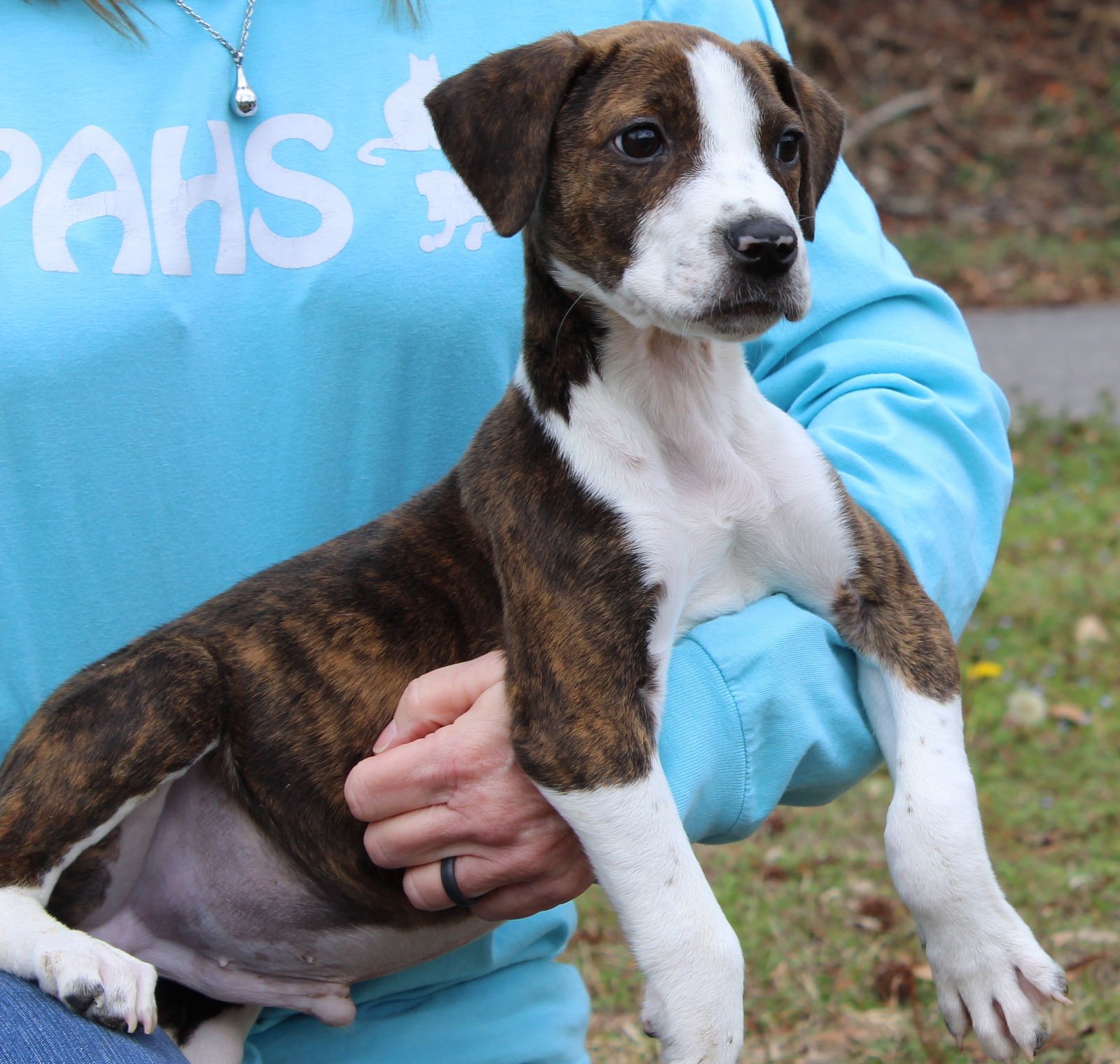 Ronnan 43121 - Photo 3