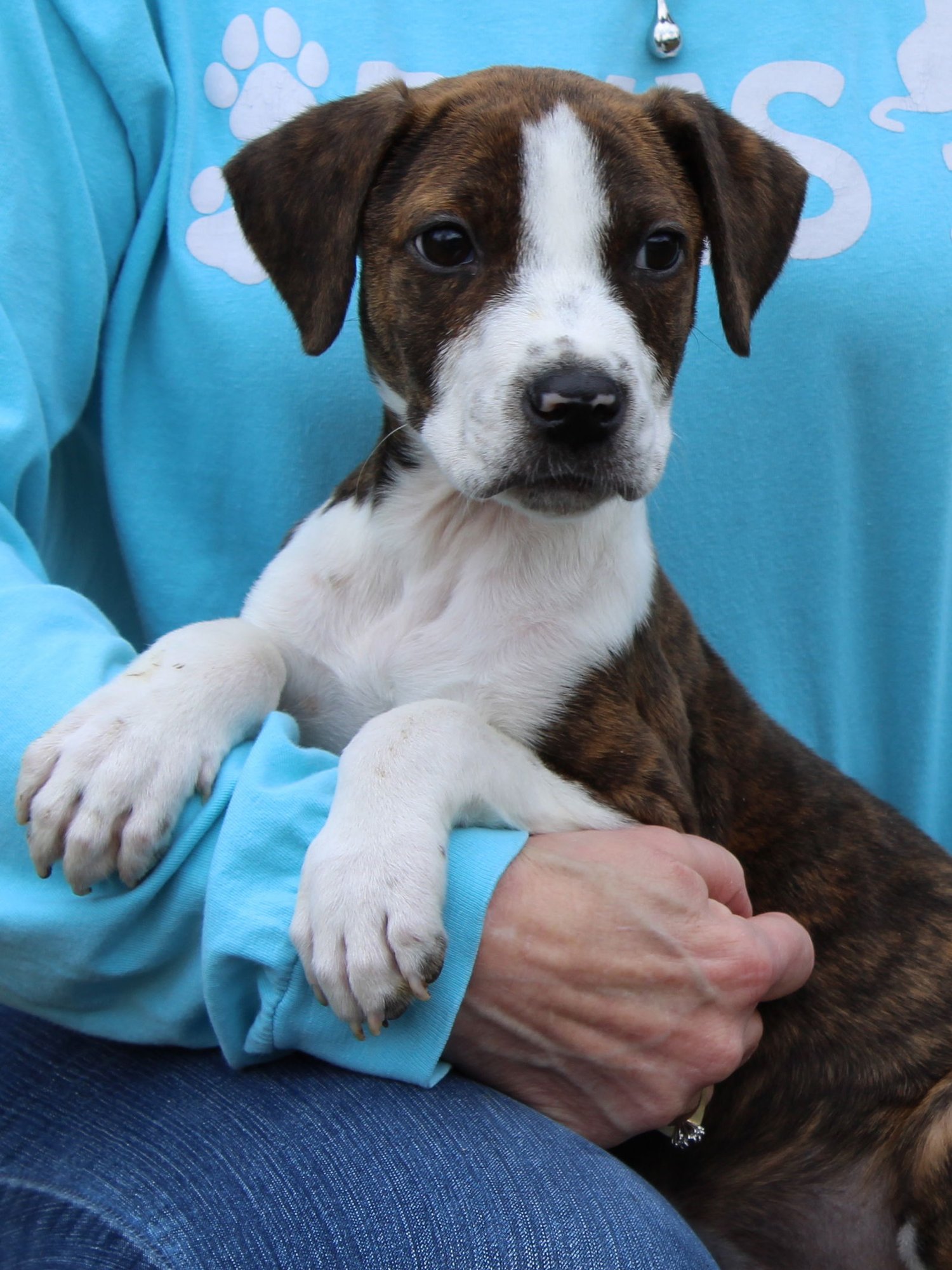 Ronnan 43121 - Photo 4