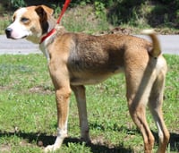 Reggie 43547 - Photo 3