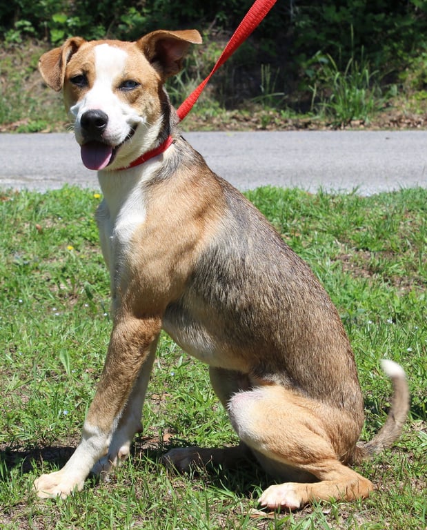 Reggie 43547 Image
