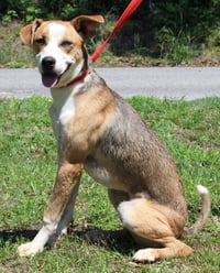 Reggie 43547 - Photo 1