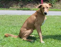 Mable 43873 - Photo 3