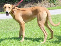Mable 43873 - Photo 4