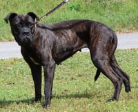 Lacy 43344 - Photo 3