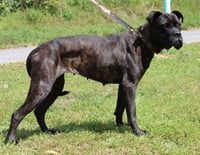 Lacy 43344 - Photo 4