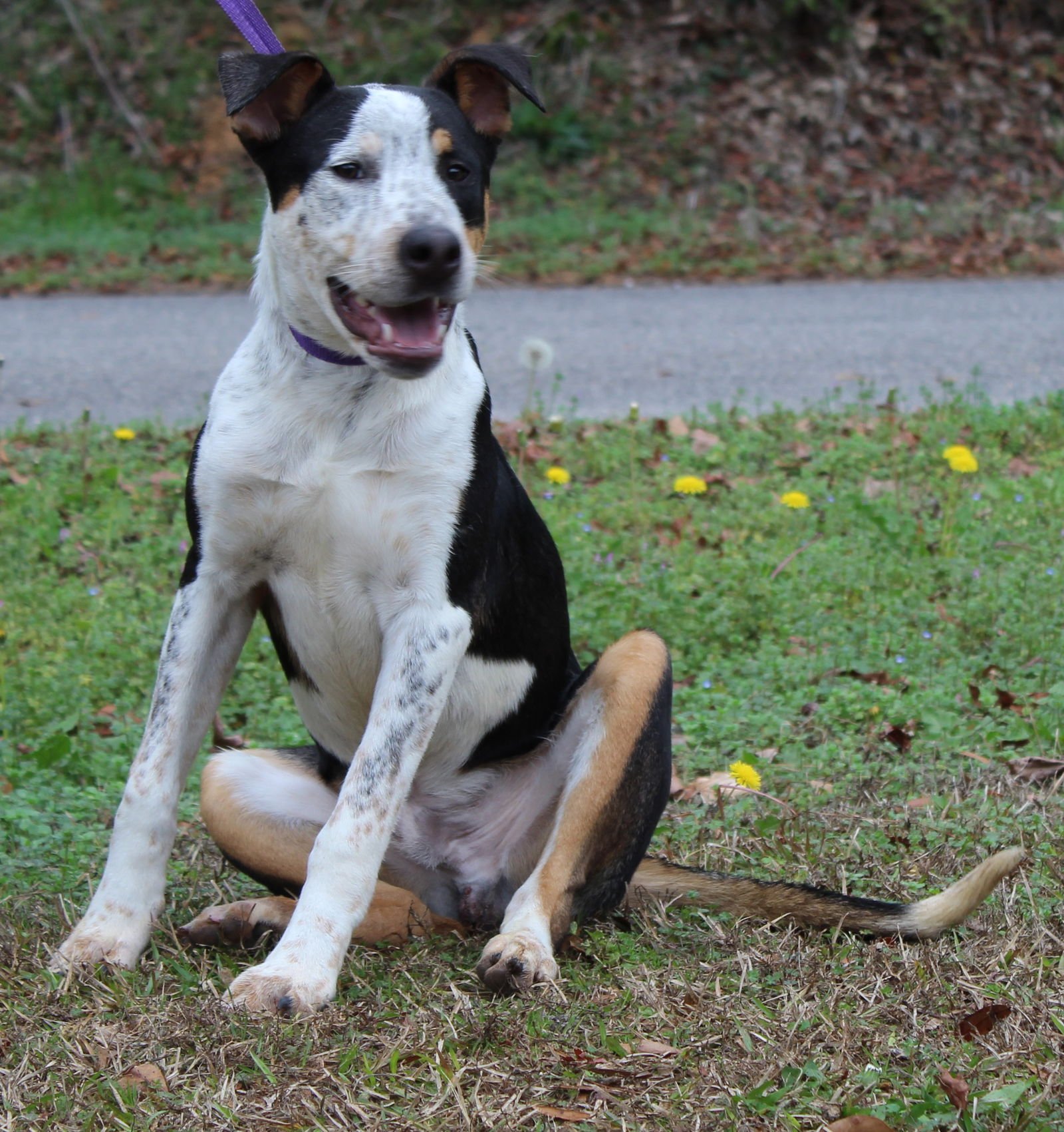 Lenny 42997 - Photo 4