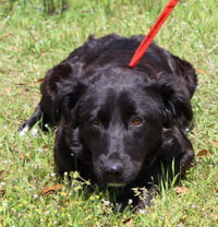 Ellie 35345 - Photo 1